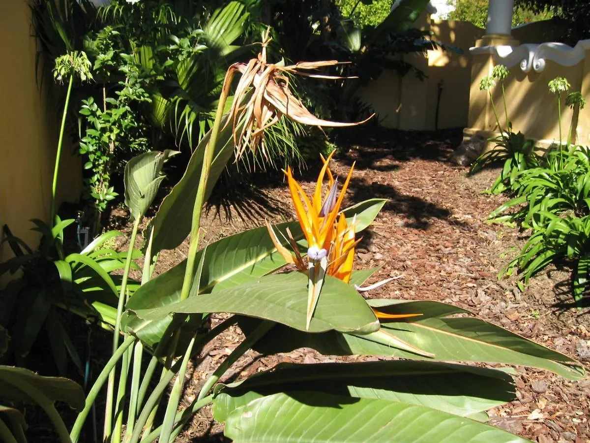 Guest house Ashanti Gardens Guesthouse Cape Town